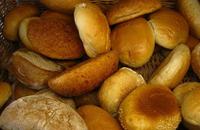 Brötchen - Bäckerei und Konditorei Schmieder